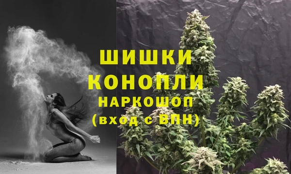 бошки Аркадак
