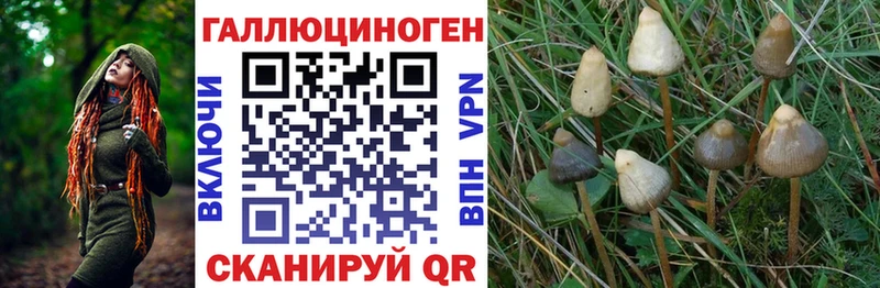 Галлюциногенные грибы GOLDEN TEACHER  Купить  Власиха 