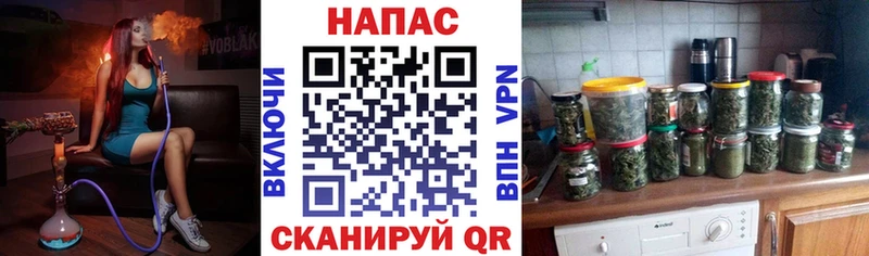 Бошки марихуана планчик  Купить  Власиха 
